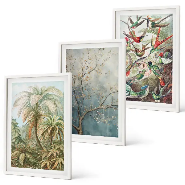 Juego de 3 cuadros con diseño de plantas tropicales, aves y motivos de naturaleza