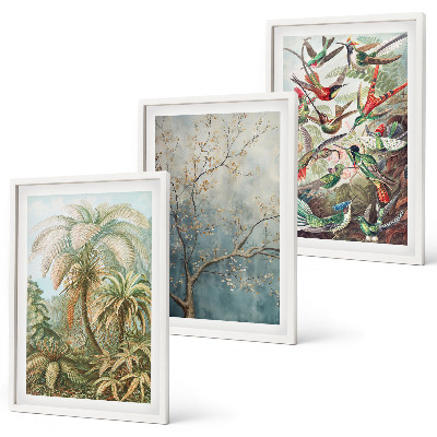 Juego de 3 cuadros Plantas tropicales, aves, naturaleza