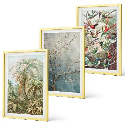 Juego de 3 cuadros con diseño de plantas tropicales, aves y motivos de naturaleza