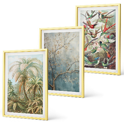 Juego de 3 cuadros Plantas tropicales, aves, naturaleza