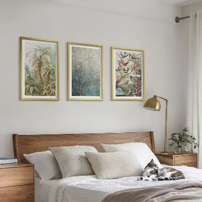 Juego de 3 cuadros con diseño de plantas tropicales, aves y motivos de naturaleza