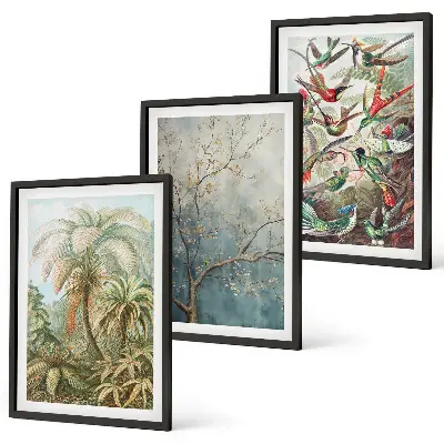 Juego de 3 cuadros con diseño de plantas tropicales, aves y motivos de naturaleza