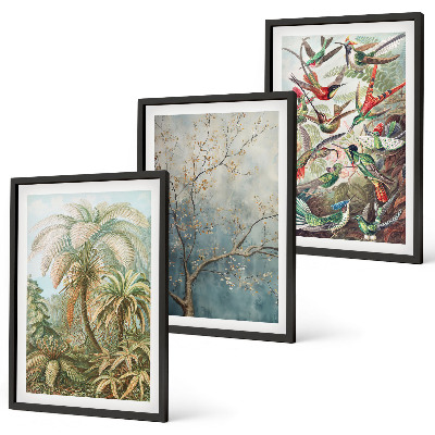 Juego de 3 cuadros Plantas tropicales, aves, naturaleza