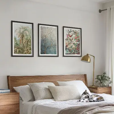 Juego de 3 cuadros con diseño de plantas tropicales, aves y motivos de naturaleza