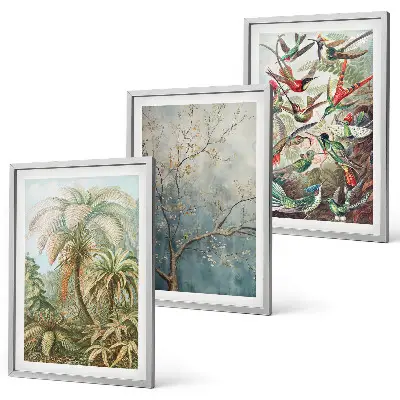 Juego de 3 cuadros con diseño de plantas tropicales, aves y motivos de naturaleza