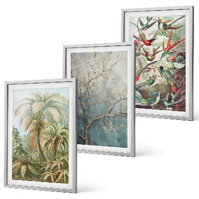 Juego de 3 cuadros Plantas tropicales, aves, naturaleza