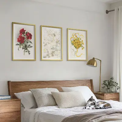 Juego de 3 cuadros de rosas rojas y blancas