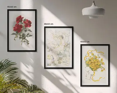 Juego de 3 cuadros de rosas rojas y blancas