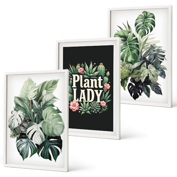 Set de 3 cuadros para salón Plantas tropicales La señora de las plantas