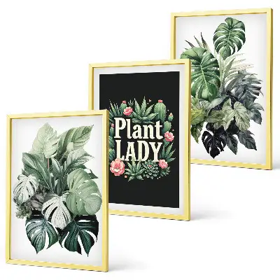 Set de 3 cuadros de plantas tropicales decoración de pared para salón La señora de las plantas