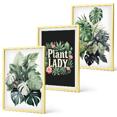 Set de 3 cuadros para salón Plantas tropicales La señora de las plantas