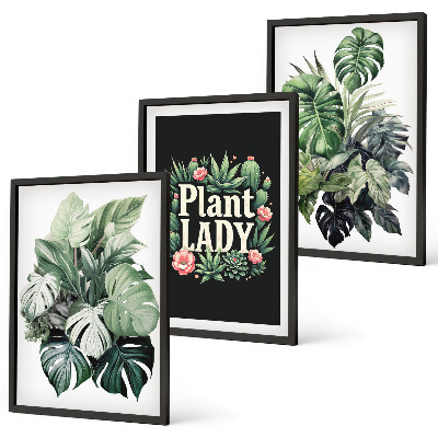 Set de 3 cuadros para salón Plantas tropicales La señora de las plantas