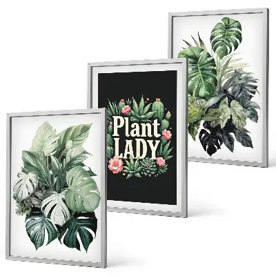 Set de 3 cuadros de plantas tropicales decoración de pared para salón La señora de las plantas