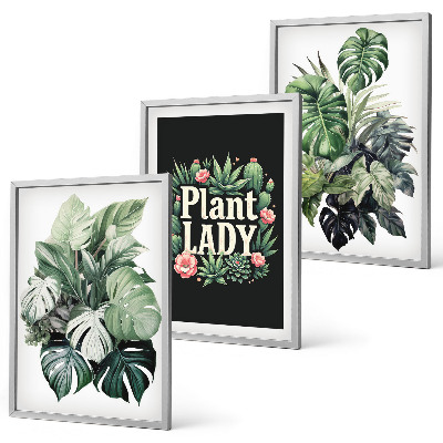 Set de 3 cuadros para salón Plantas tropicales La señora de las plantas