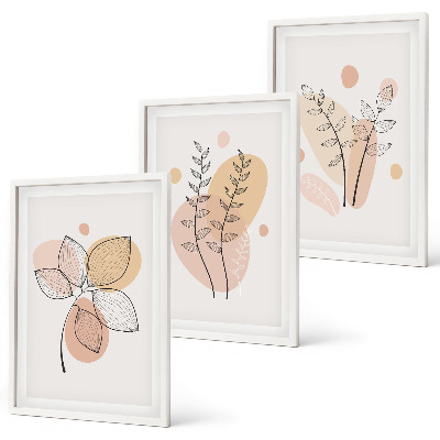 Set de 3 cuadros para salón Dibujos de plantas al pastel