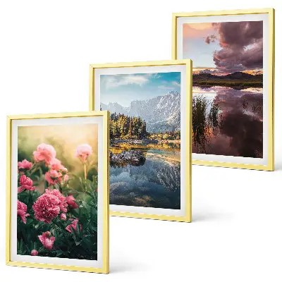 Set de 3 cuadros para salón con diseño de flores, jardín, montañas y agua