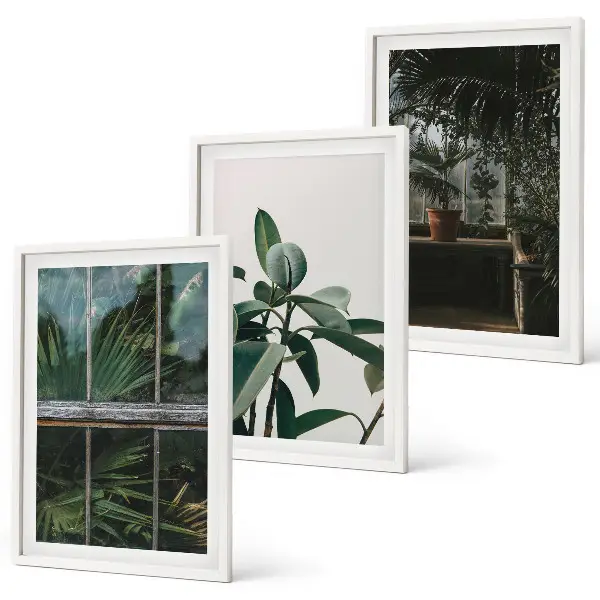 Set de 3 cuadros para salón con diseño de hojas verdes en planta de ventana