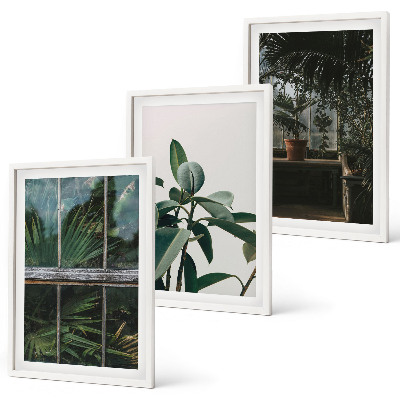 Set de 3 cuadros para salón Hojas verdes en la planta de la ventana