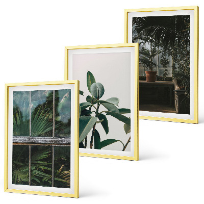 Set de 3 cuadros para salón Hojas verdes en la planta de la ventana