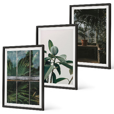Set de 3 cuadros para salón Hojas verdes en la planta de la ventana