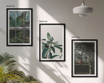 Set de 3 cuadros para salón Hojas verdes en la planta de la ventana