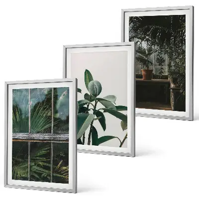 Set de 3 cuadros para salón con diseño de hojas verdes en planta de ventana