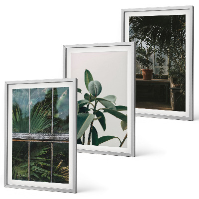 Set de 3 cuadros para salón Hojas verdes en la planta de la ventana