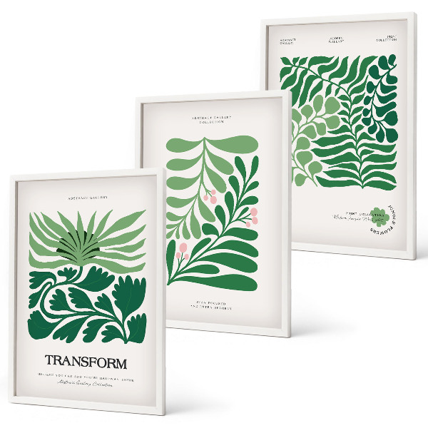 Set de 3 cuadros para salón Formas de plantas de hojas verdes