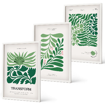 Set de 3 cuadros para salón Formas de plantas de hojas verdes