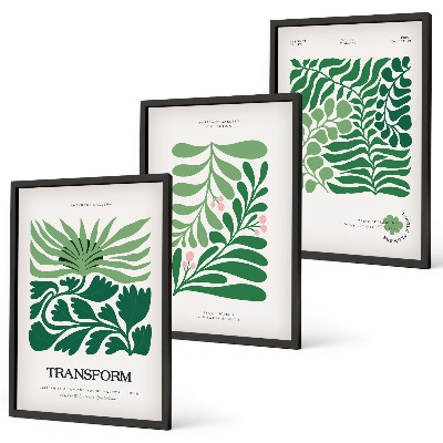 Set de 3 cuadros para salón Formas de plantas de hojas verdes