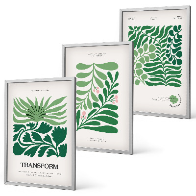 Set de 3 cuadros para salón Formas de plantas de hojas verdes