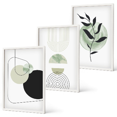 Set de 3 cuadros para salón Formas abstractas de plantas