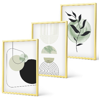 Set de 3 cuadros para salón Formas abstractas de plantas