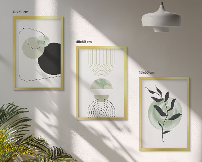 Set de 3 cuadros para salón Formas abstractas de plantas