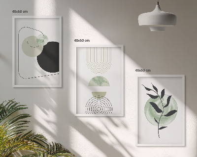 Set de 3 cuadros para salón Formas abstractas de plantas