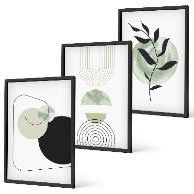 Set de 3 cuadros para salón Formas abstractas de plantas
