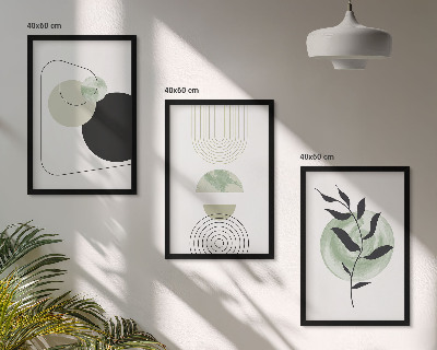 Set de 3 cuadros para salón Formas abstractas de plantas