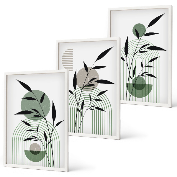 Juego de 3 cuadros composiciones florales de estilo bohemio