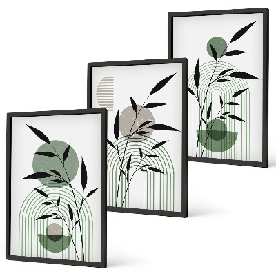 Juego de 3 cuadros composiciones florales de estilo bohemio