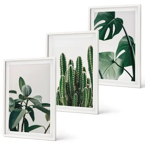 Set de 3 cuadros con motivos de plantas tropicales