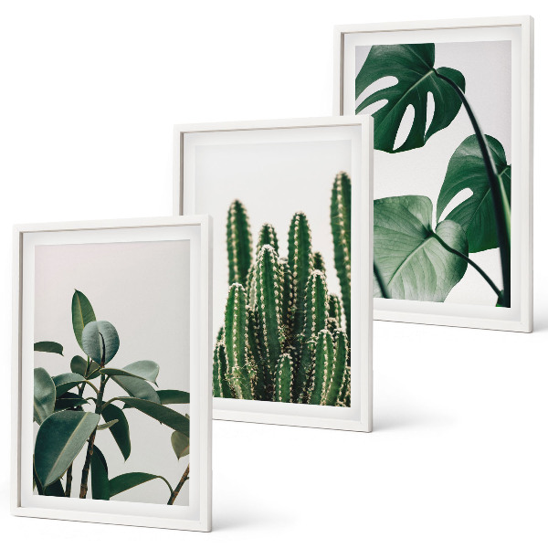 Juego de 3 cuadros Plantas de estética tropical
