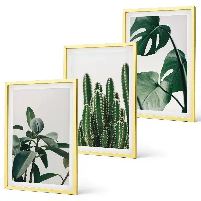 Set de 3 cuadros con motivos de plantas tropicales