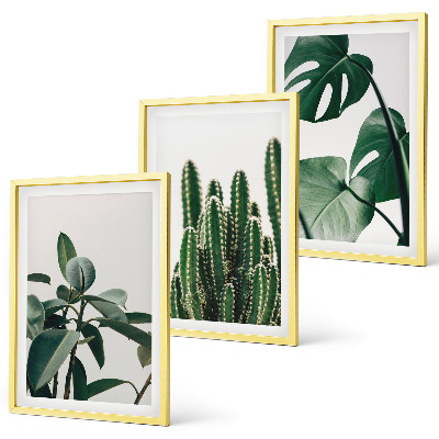 Juego de 3 cuadros Plantas de estética tropical