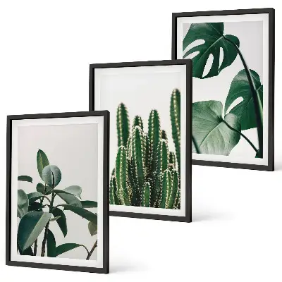 Set de 3 cuadros con motivos de plantas tropicales