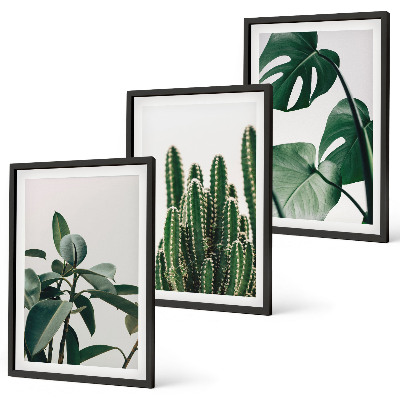 Juego de 3 cuadros Plantas de estética tropical