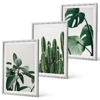 Set de 3 cuadros con motivos de plantas tropicales