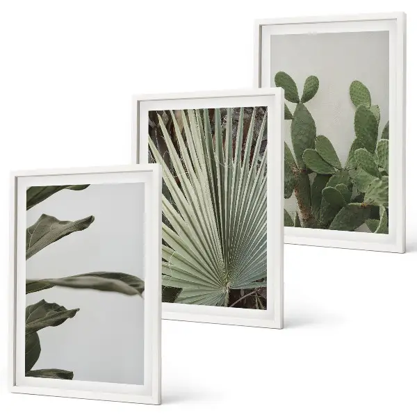 Juego de 3 cuadros con diseño de hojas de plantas tropicales en tonos pastel