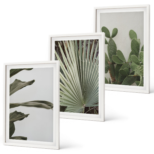 Juego de 3 cuadros Hojas de plantas tropicales en tonos pastel
