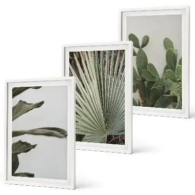 Juego de 3 cuadros con diseño de hojas de plantas tropicales en tonos pastel