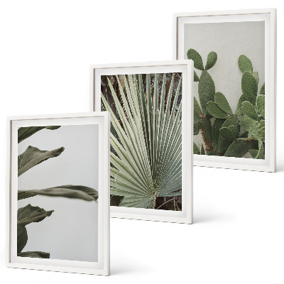Juego de 3 cuadros Hojas de plantas tropicales en tonos pastel